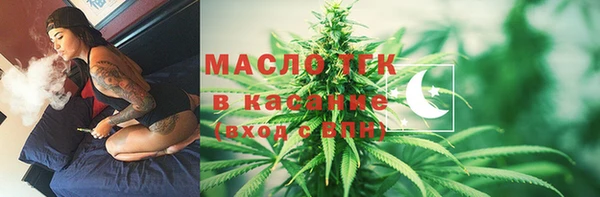 эйфоретик Богданович